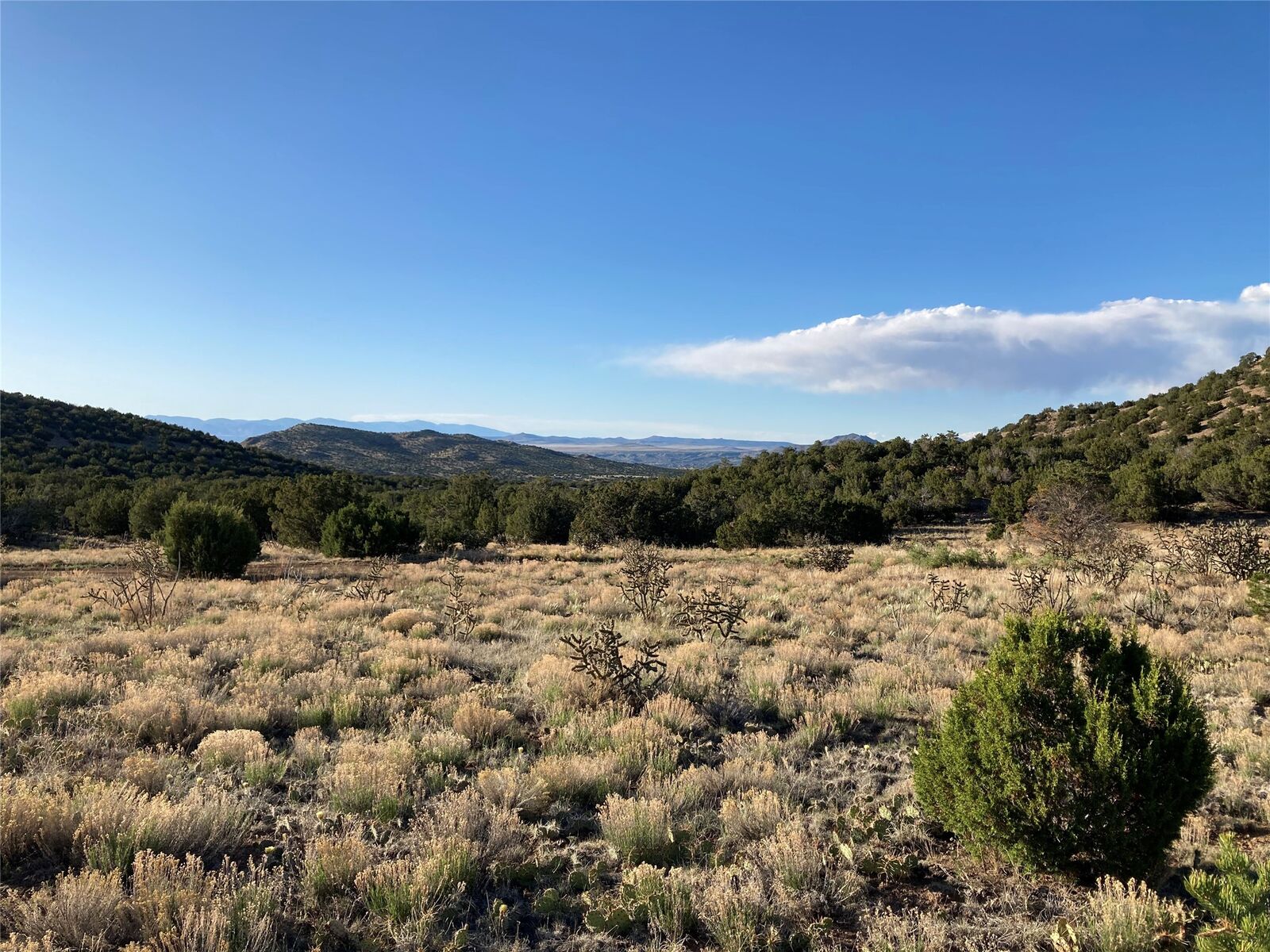 Property Photo:  100 Ortiz Mountain  NM 87010 