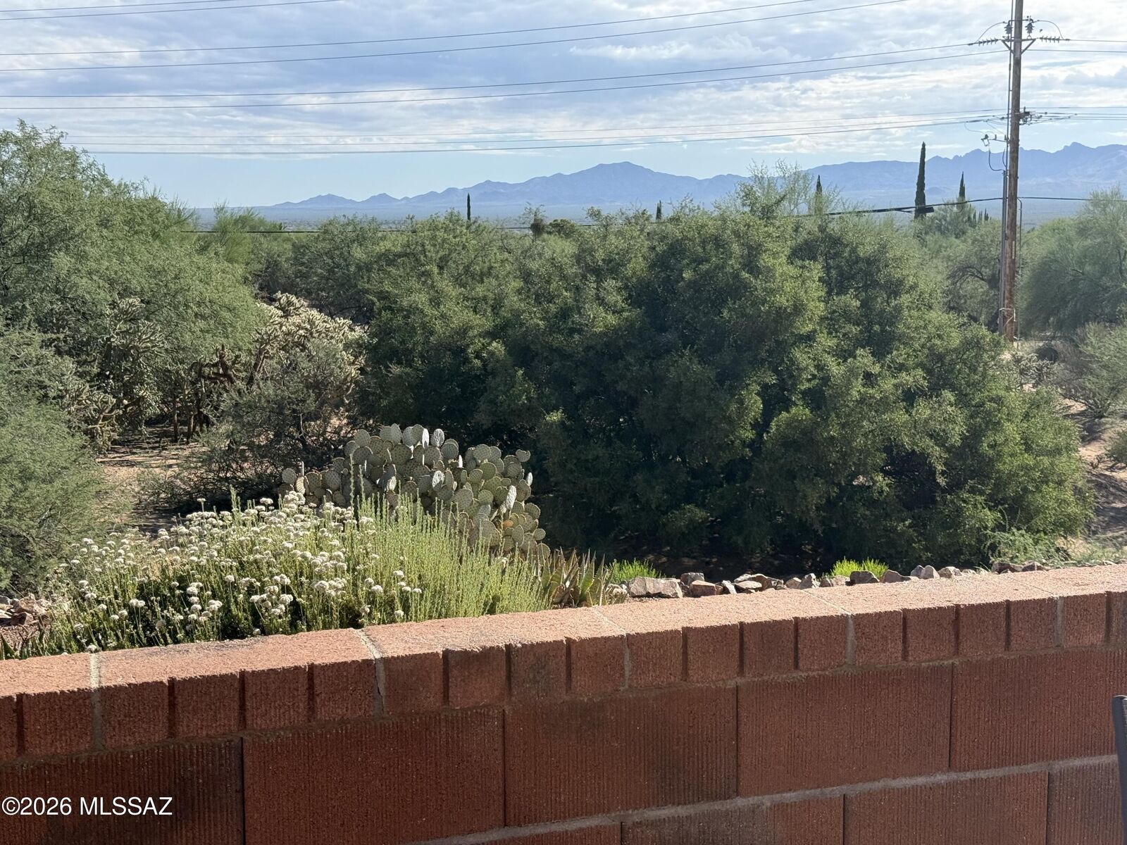 Property Photo:  204 N Cobalt Drive  AZ 85614 