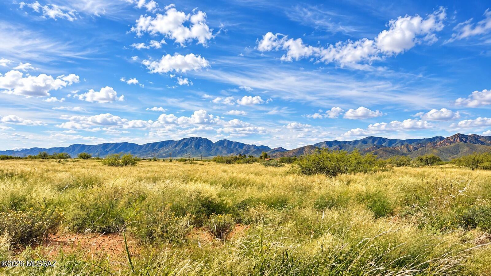 Property Photo:  Tbd W Bentley Street 13  AZ 85625 