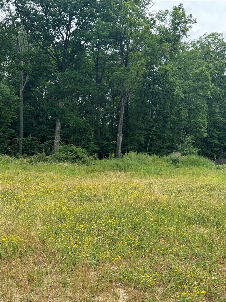 Property Photo:  (Lot 106) 1010 Goldeneye Drive  PA 15005 