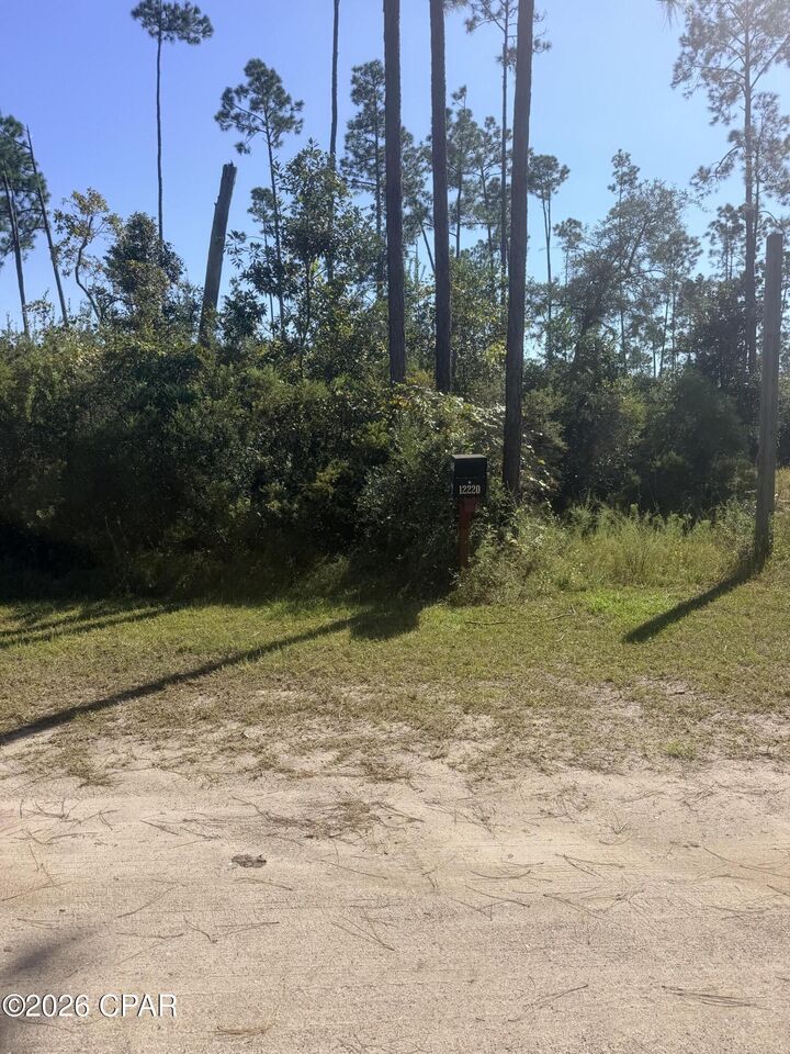 Property Photo:  12220 Caruso Drive  FL 32404 