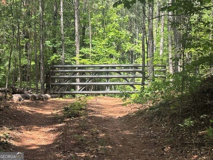 Property Photo: 0 Butler Bridge Road GA 30252