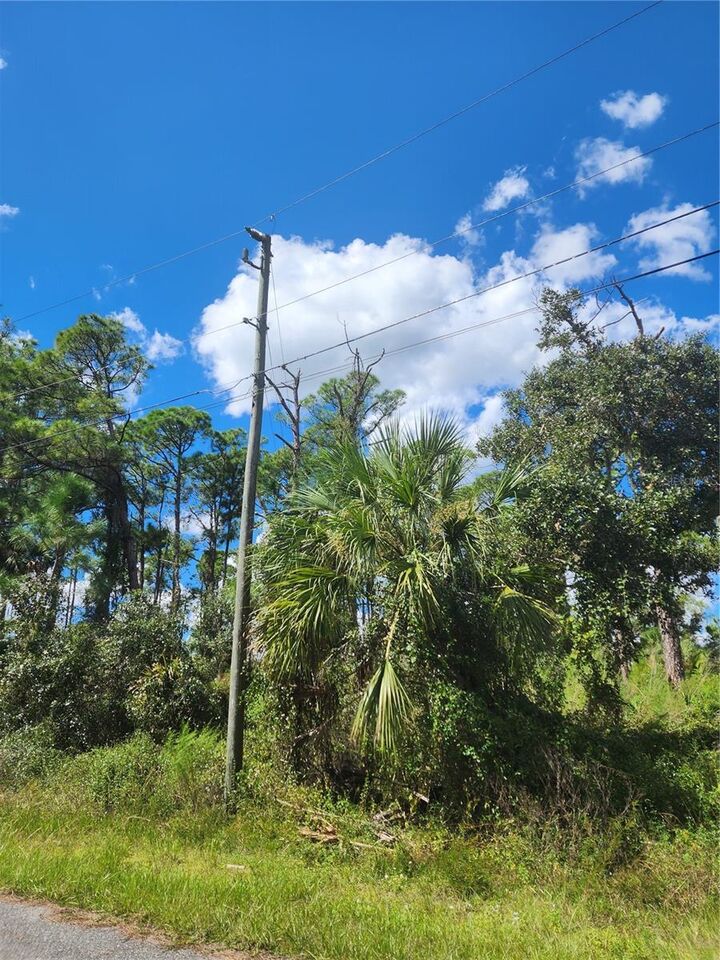 Property Photo:  Dorie Street  FL 34291 