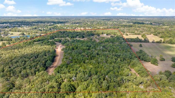 Property Photo:  Tbd County Road 42440  TX 75462 