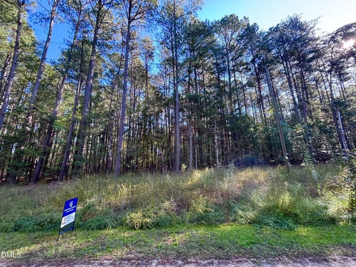 Property Photo: 0 Pool Rock Plantation Lane NC 27537