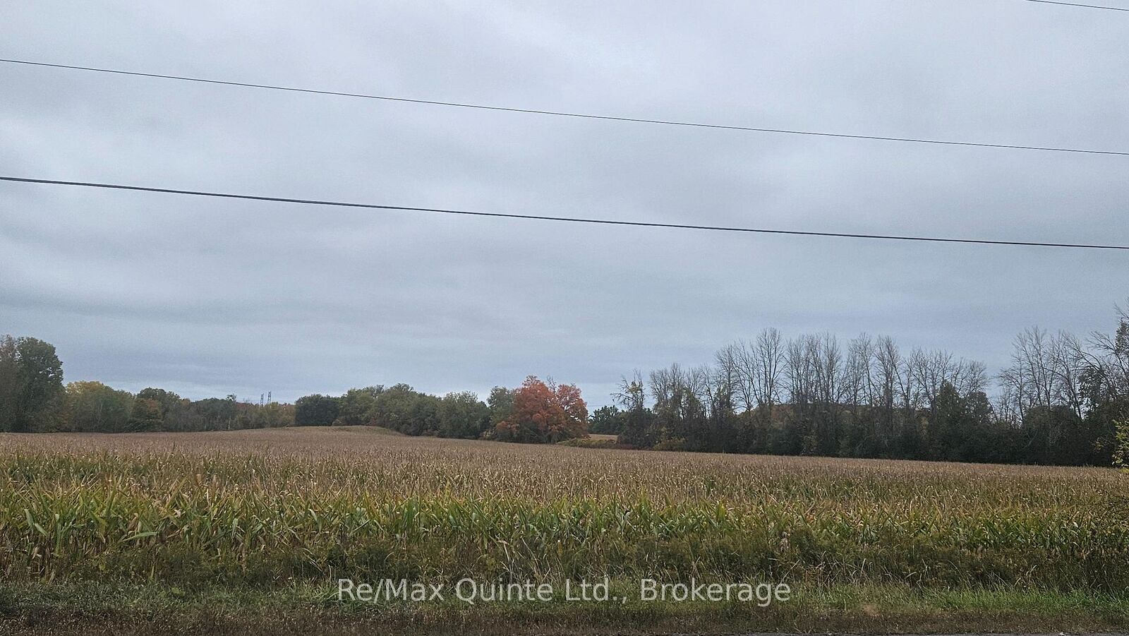 Photo de la propriété:  0 Frankford Road  ON K0K 2B0 