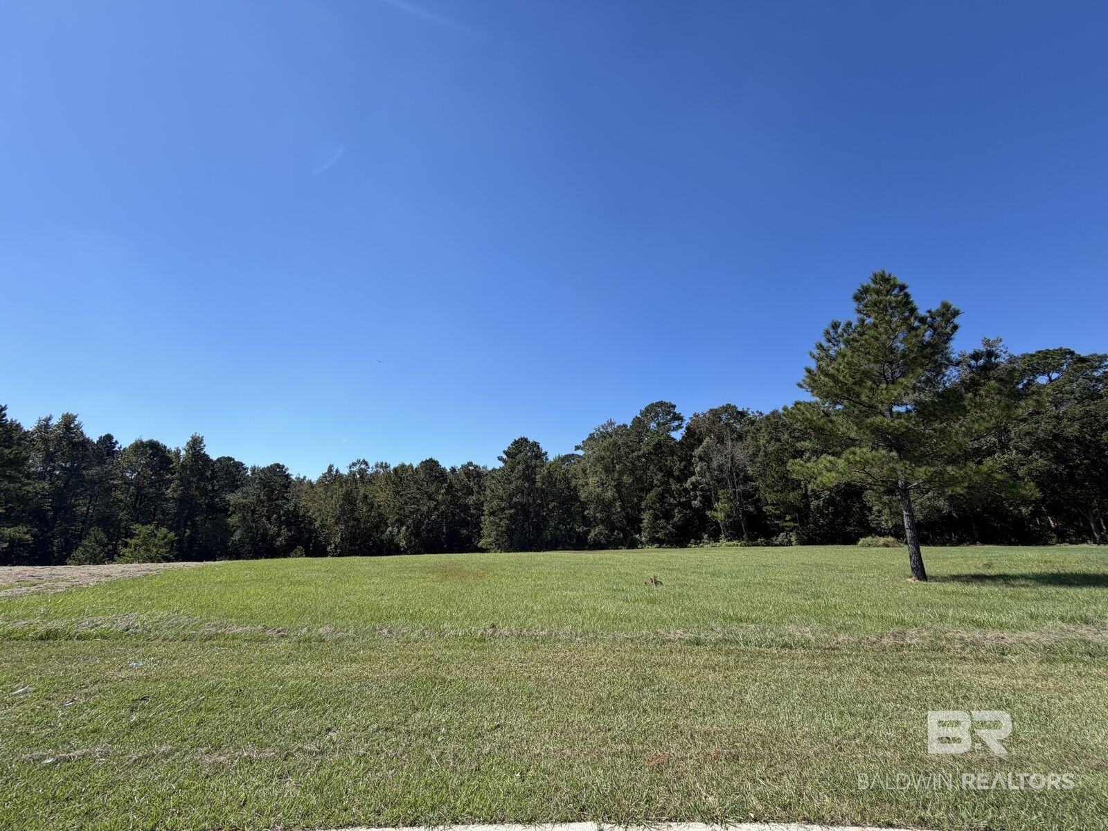 Property Photo:  169 Mount Pleasant Boulevard  AL 36532 