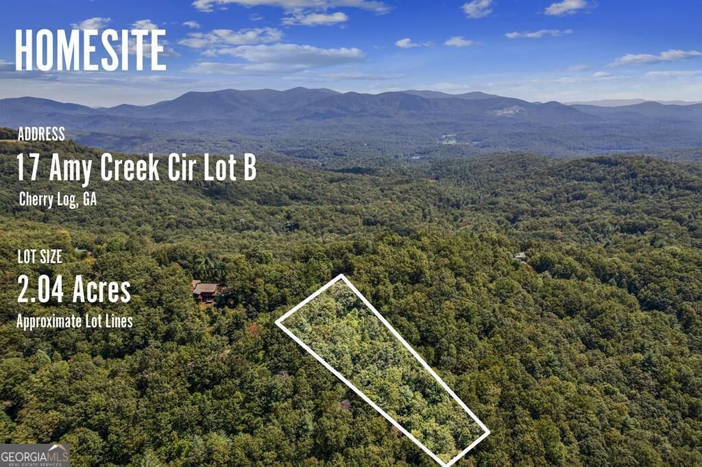 Property Photo:  Lot 17B Amy Creek Circle  GA 30540 