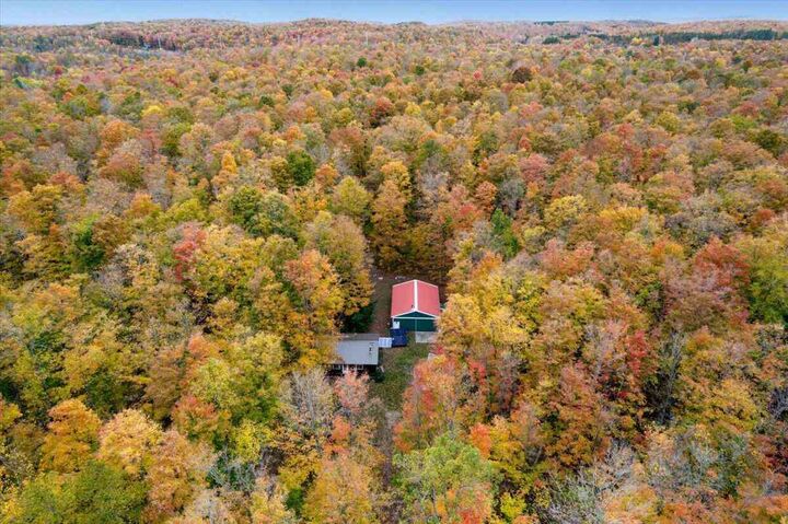 Property Photo: 4524 Summer Lane MI 49659