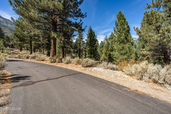 Property Photo: 900 Stutler Creek Court NV 89460