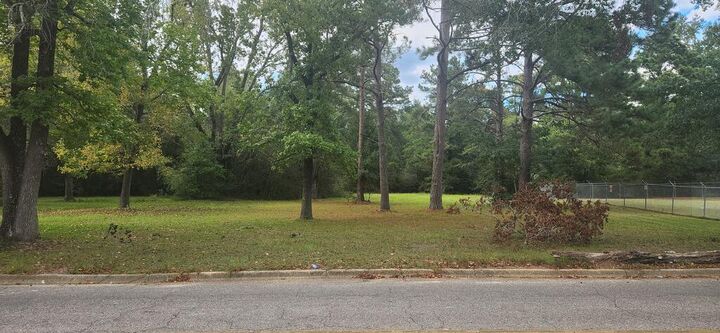 Property Photo:  317 E Spring 0 E Spring Street  AL 36303 