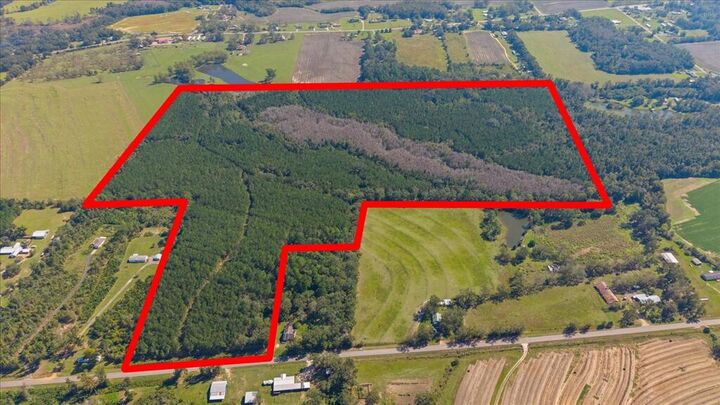 Property Photo:  000 Willie Varnum Road  AL 36301 