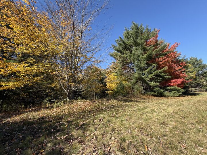 Property Photo: Map3lot29a Punkinville Road ME 04664