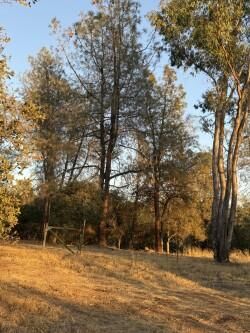 Property Photo: 94 Ridgeview Lane CA 95966