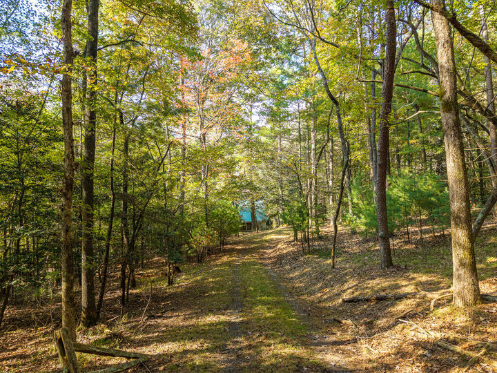 Property Photo:  175 Indian Cave Road  GA 30536 