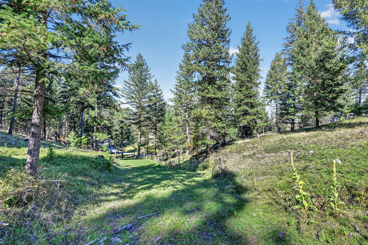 Property Photo: Nhn Black Lake Road MT 59930