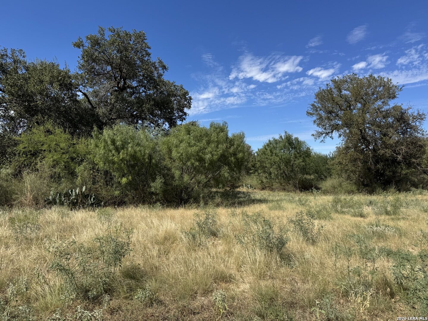Property Photo: 600 Rio St TX 78801