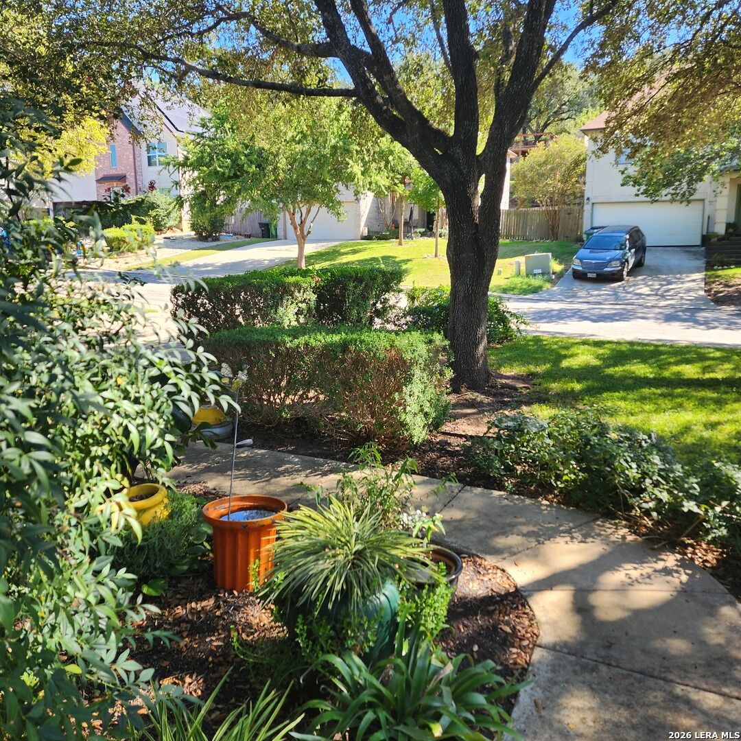 Property Photo: 16168 Walnut Creek Dr TX 78247