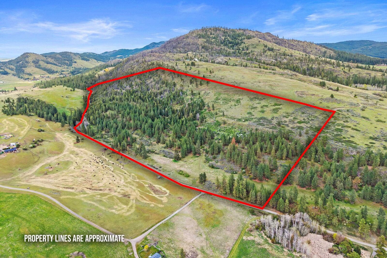 Property Photo:  Nka Goddard Rd  WA 99167 