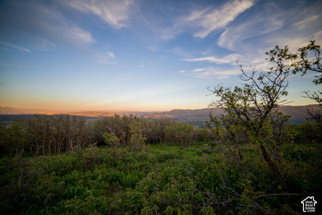 Property Photo: 10000 N Kimball Canyon Rd 21 UT 84098