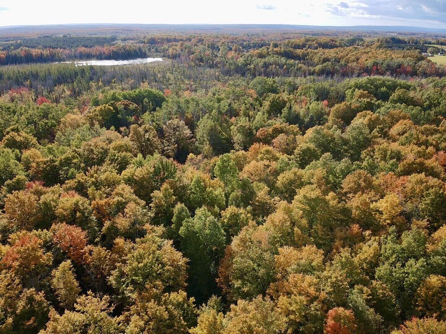 Property Photo:  V/L Abby Lane  MI 49705 