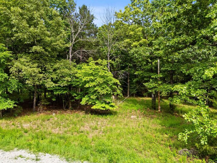 Property Photo:  Lots 29 &Amp 30 Sycamore Springs Circle  AR 72653 