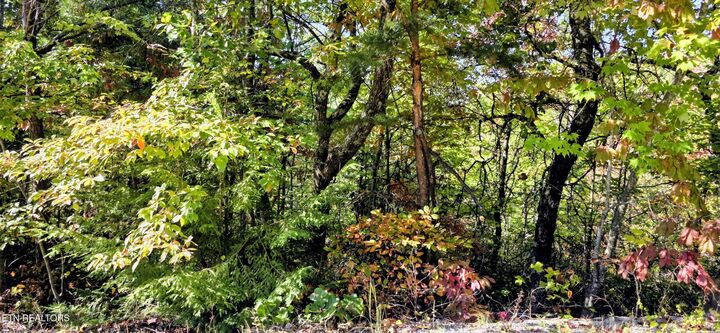 Property Photo:  Lot 90 Mountain Blvd  TN 37876 
