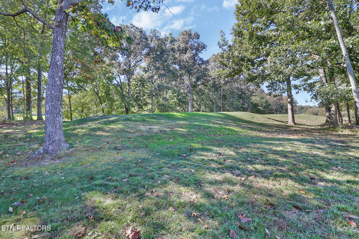 Property Photo:  530 Stonehenge Drive  TN 38558 