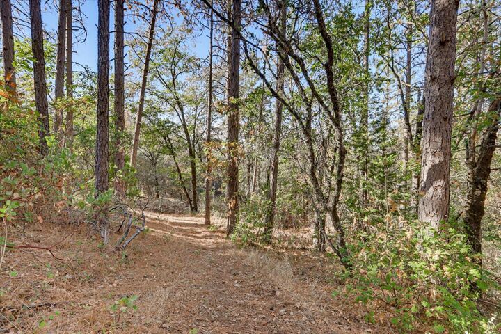 Property Photo:  10531 Combie Road  CA 95602 