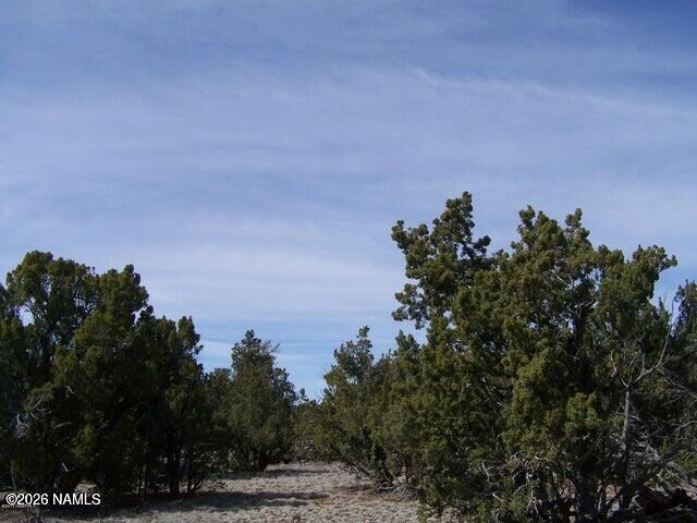Property Photo: 4685 N Cattle Guard Road AZ 86046