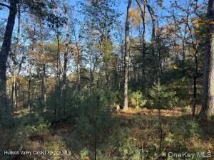 Property Photo: Reichel Road NY 12443