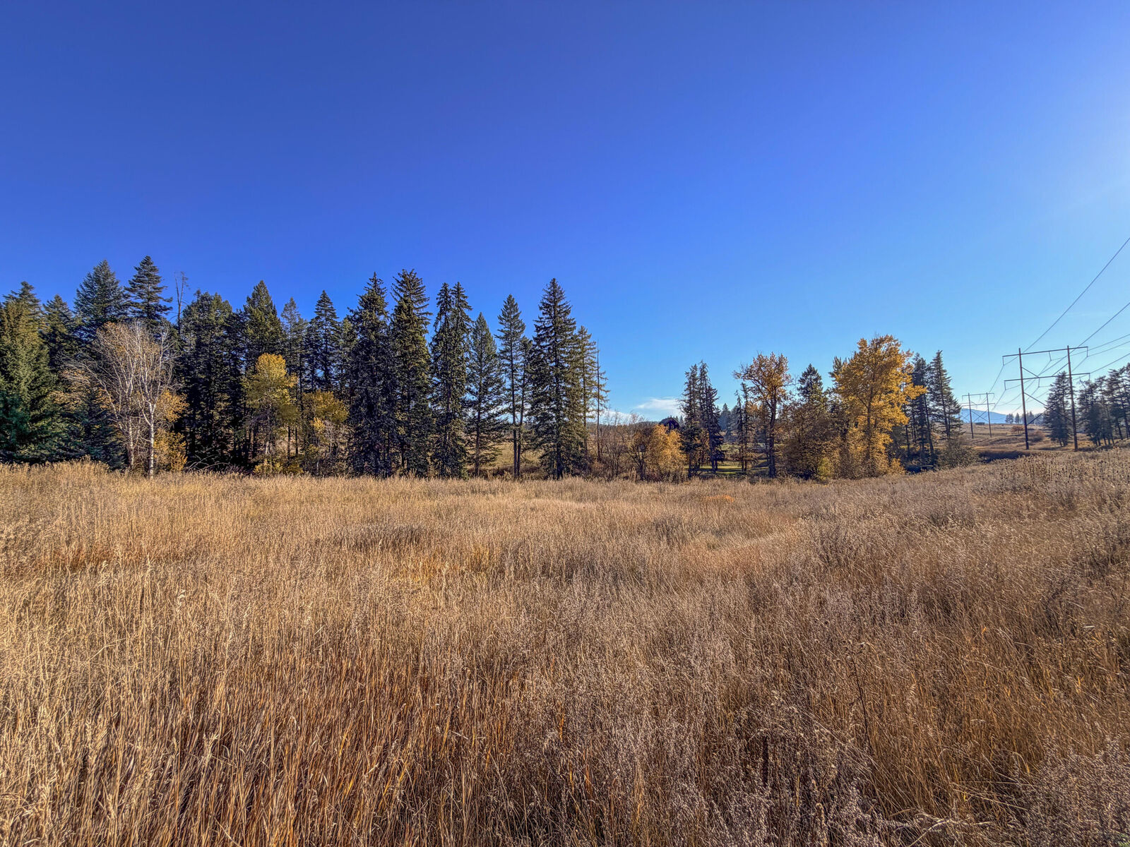 Property Photo:  2082 Whitetail Way  WA 99114 