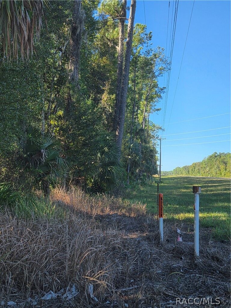 Property Photo:  0 SE Hwy 19  FL 34449 