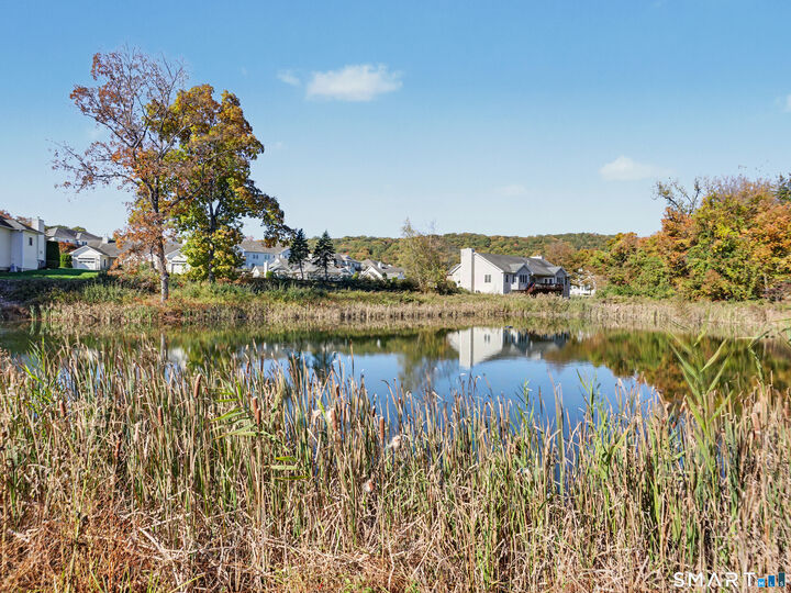 Property Photo: 41 Pondview Circle 41 CT 06403
