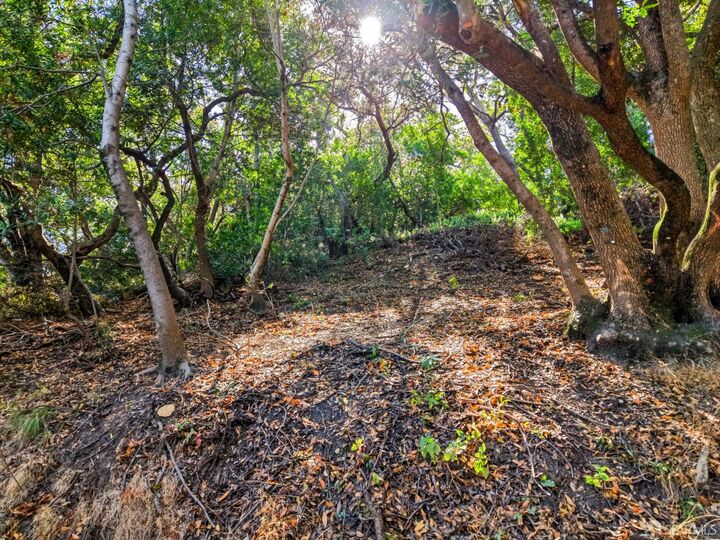 Property Photo:  0 Laurel Way  CA 94059 