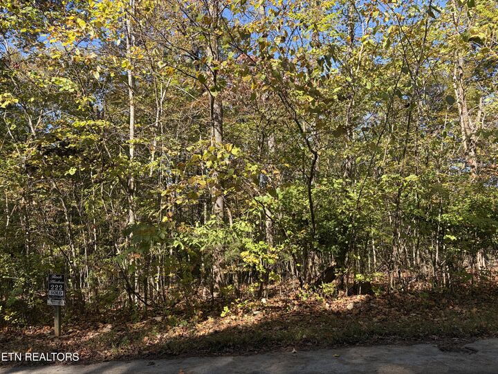 Property Photo: Lot 222 Jade Lane TN 37825