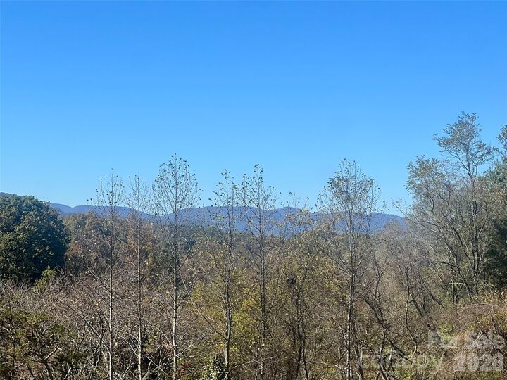 Property Photo:  112 Max View Drive  NC 28748 