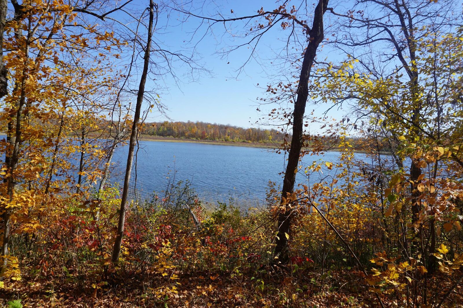 Property Photo:  206 Wild Cherry Drive NE  MN 56633 