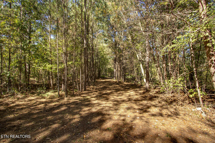 Property Photo: 146 Bent Creek Tr TN 37329