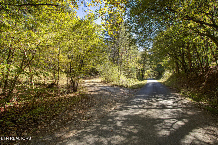 Property Photo: 146 Bent Creek Tr TN 37329