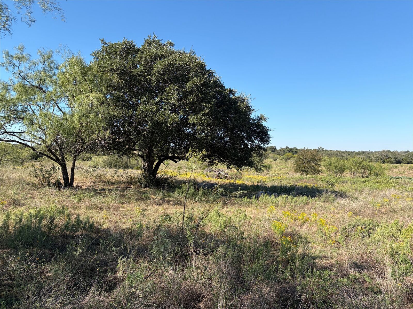 Property Photo: 2965 Old Marble Falls Road TX 78663