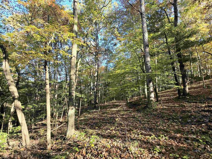 Property Photo:  Rt 4- Broad Run  WV 26339 