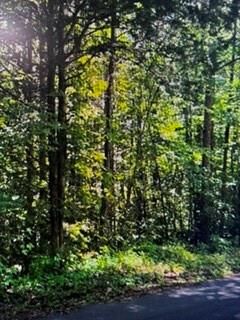 Property Photo: 00 Etchison Spur GA 30052