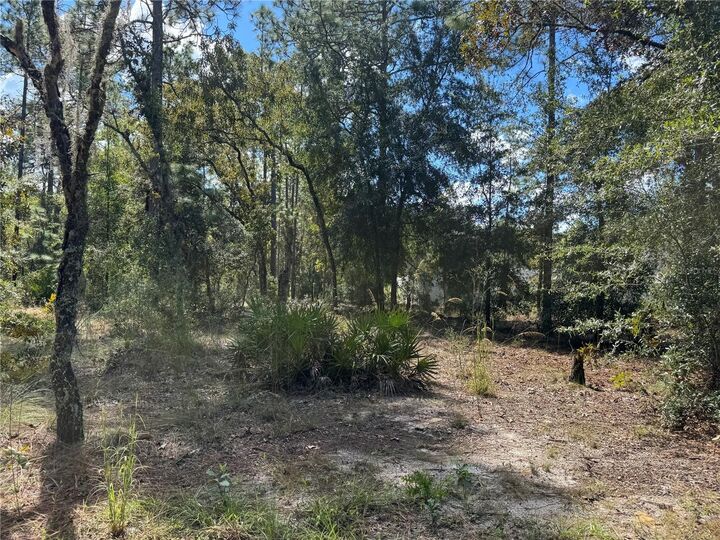 Property Photo: Lot 21 SW 157th Court FL 34481