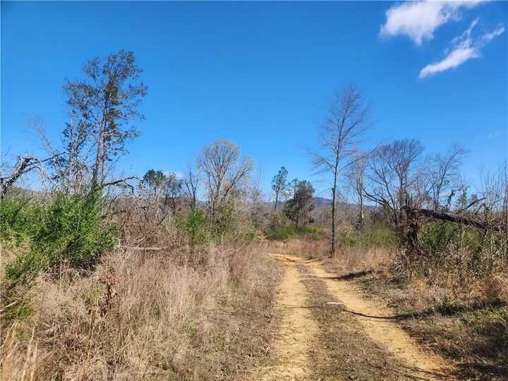 Property Photo: State Hwy 164 AR 72830