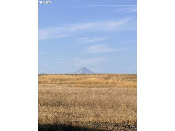 Property Photo:  0 Hwy 142  WA 98628 