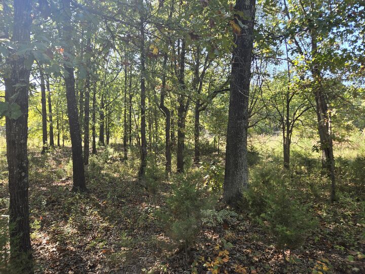 Property Photo:  19832 County Road 64  MO 65779 