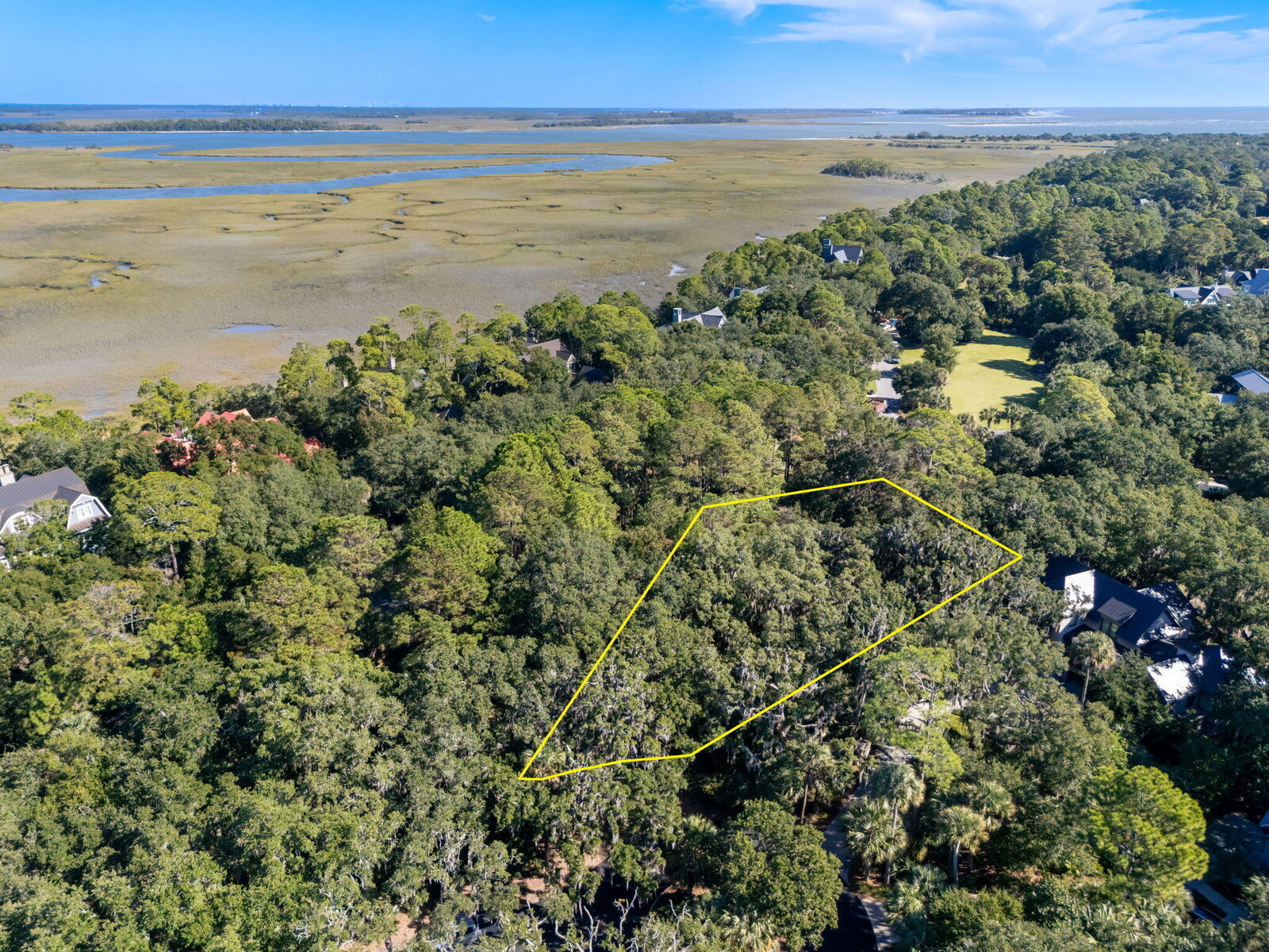Property Photo:  421 Sweetspire Lane  SC 29455 