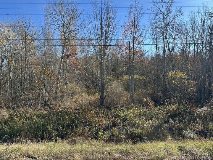 Property Photo:  0 Route 105  NB E4C 2C2 