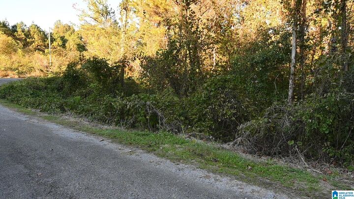 Property Photo: 0 Oakbrook Circle Lots 1 &Amp 2 Oakbrook Circle AL 35049